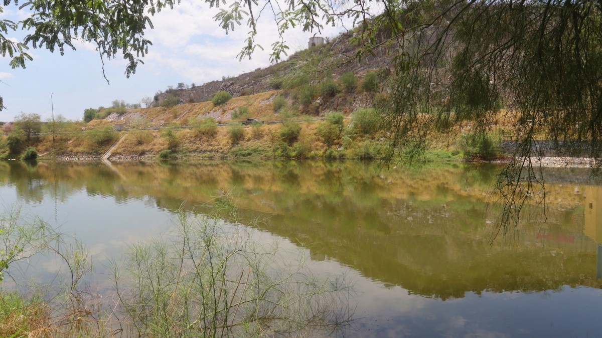 Reabastecen de agua el humedal de La Sauceda
