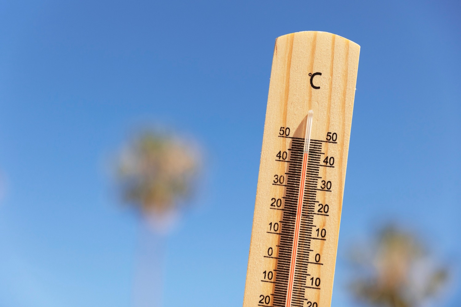 Sonora: Sexto Estado con Más Afectaciones por Calor en 2024