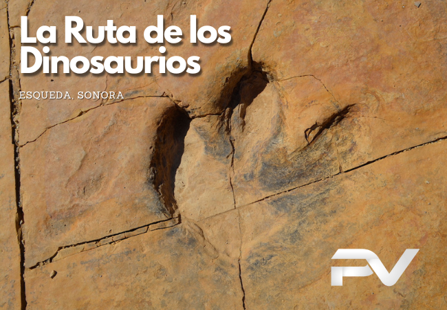 UNA AVENTURA PALEONTOLÓGICA EN SONORA
