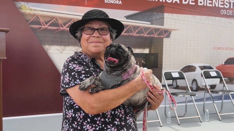 Arranca en Sonora construcción de la primera Clínica de Bienestar Animal