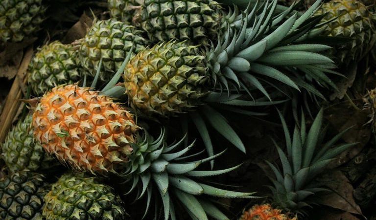 Quiénes no pueden comer piña y por qué