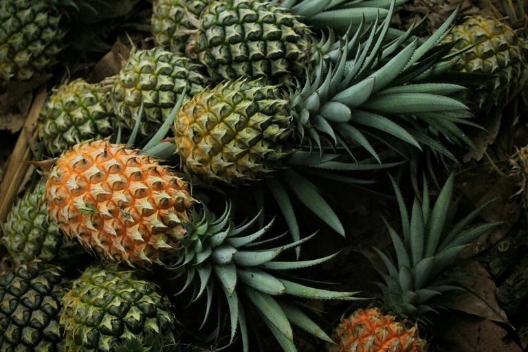 Quiénes no pueden comer piña y por qué
