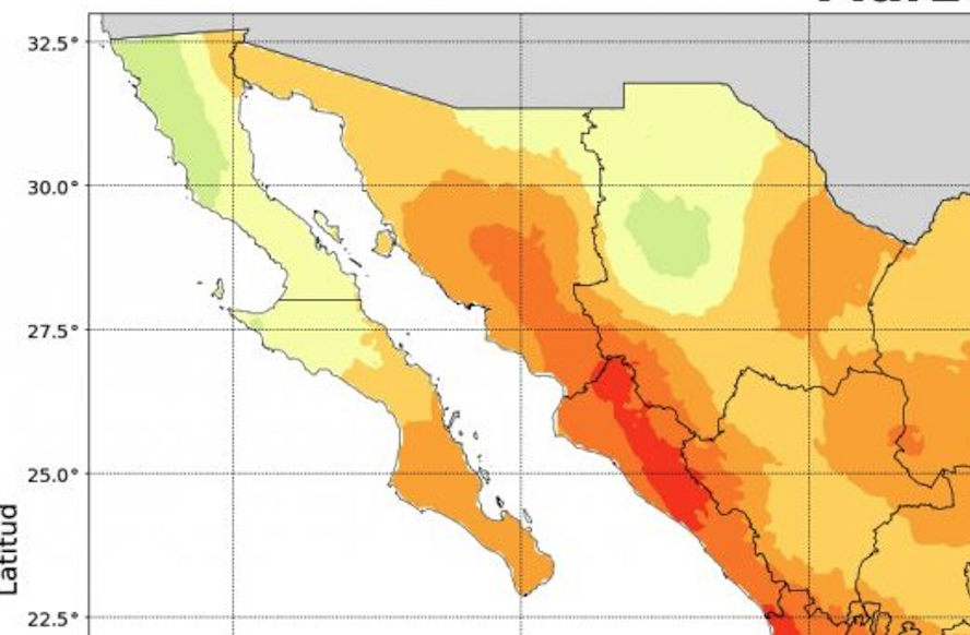Altas temperaturas continúan en Hermosillo; autoridades alertan por riesgos y emiten recomendaciones