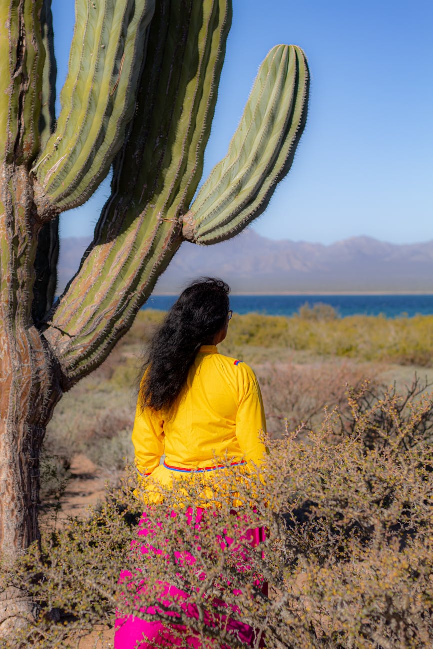 back view of person in yellow long sleeves standing beside the cactus plant